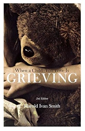 When a Child You Love is Grieving cover